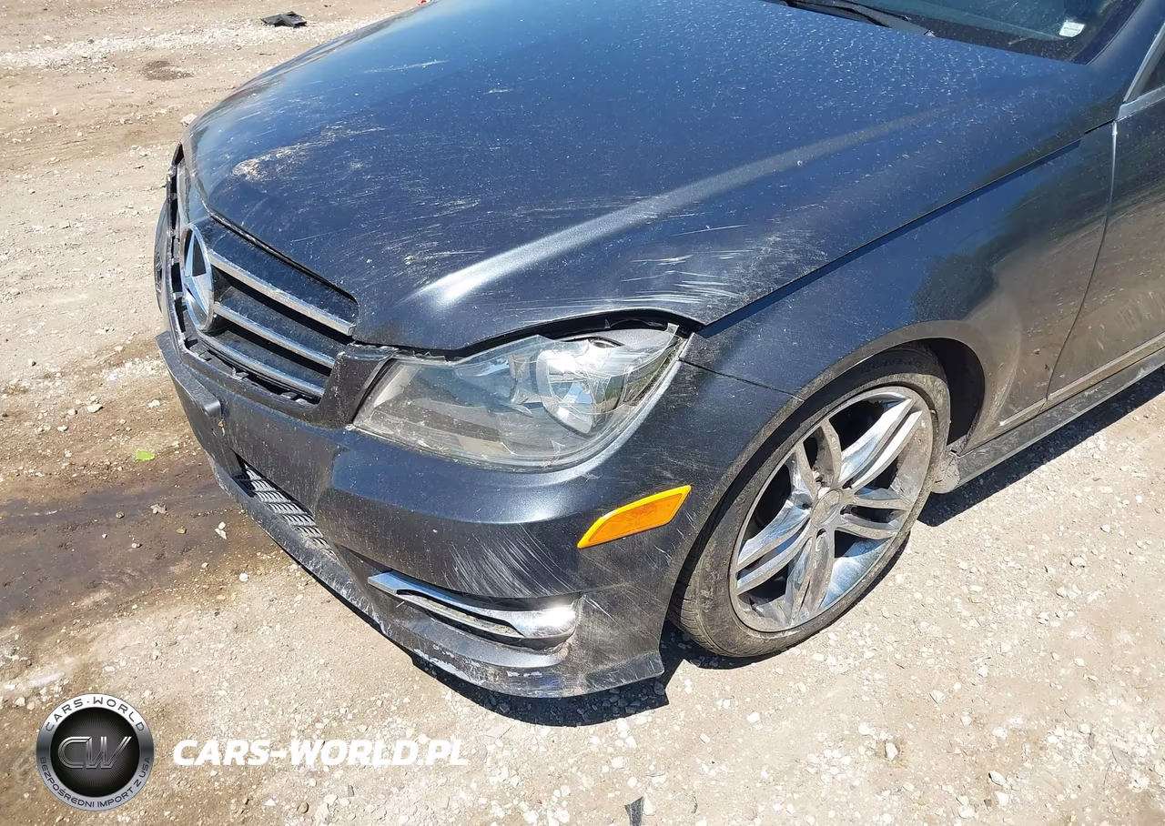 2013 MERCEDES-BENZ C 300 4MATIC VIN:WDDGF8AB1DR259700 - 17