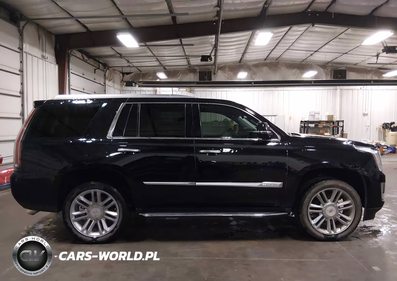 2016 Cadillac Escalade Luxury Collection VIN:1GYS4BKJ8GR417042 - 13
