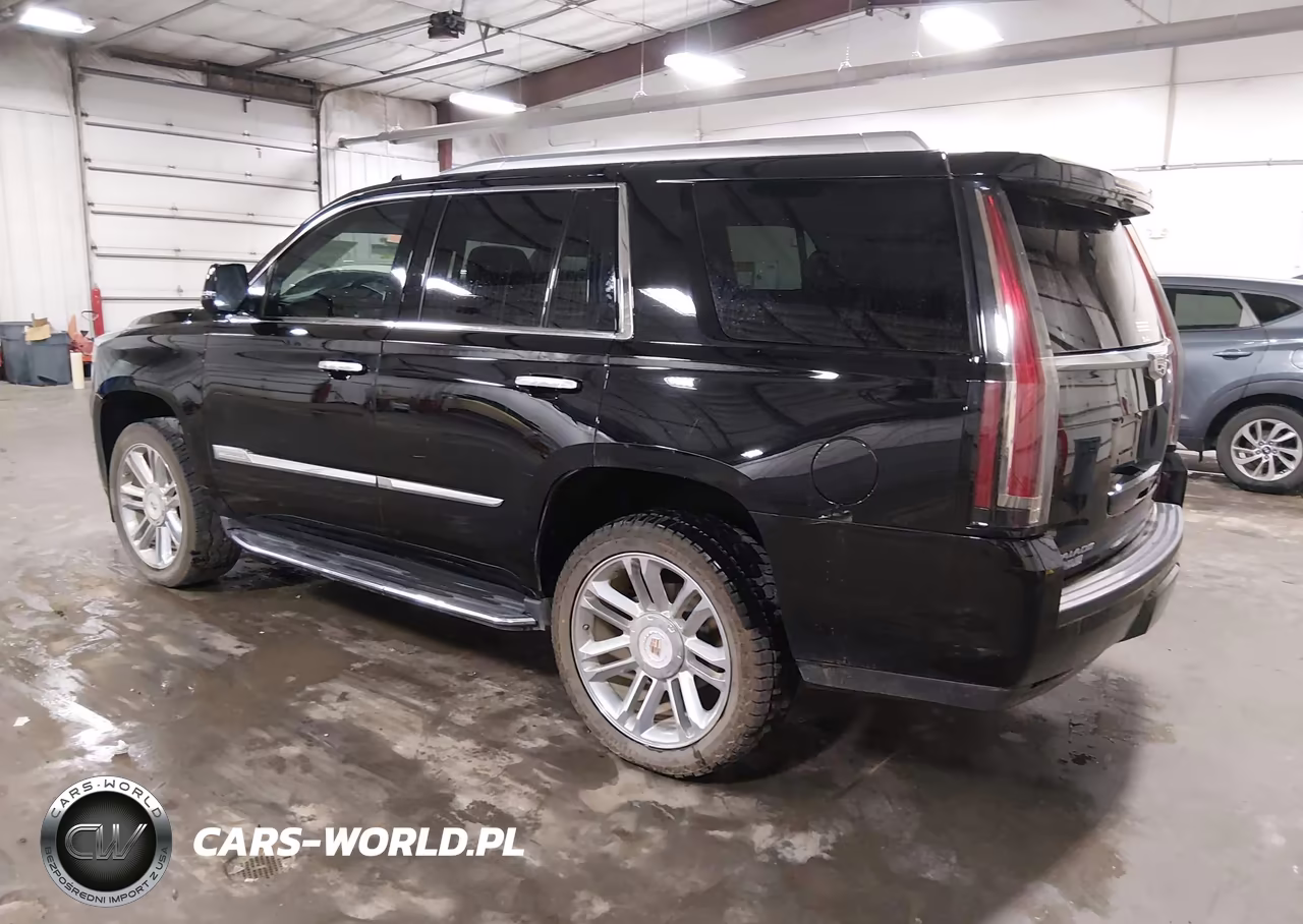 2016 Cadillac Escalade Luxury Collection VIN:1GYS4BKJ8GR417042 - 3