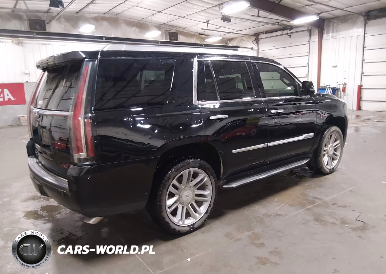 2016 Cadillac Escalade Luxury Collection VIN:1GYS4BKJ8GR417042 - 4