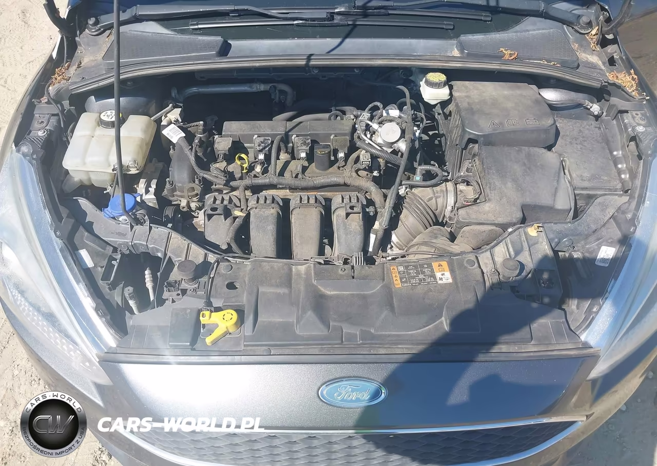 2017 Ford Focus Se VIN:1FADP3K25HL258818 - 10