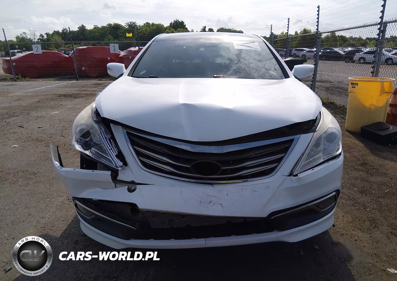 2015 Hyundai Azera Limited VIN:KMHFH4JG1FA430060 - 12