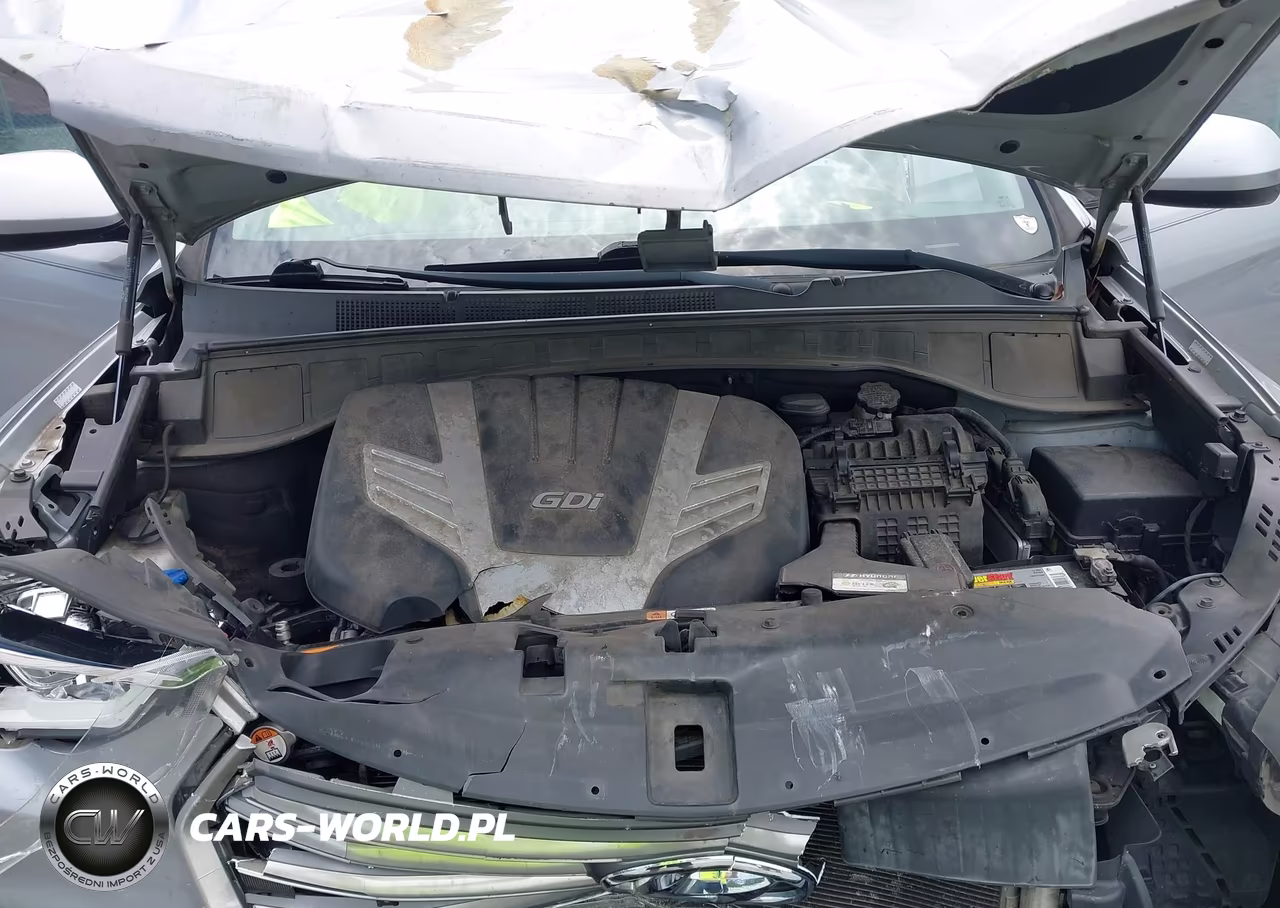 2017 Hyundai Santa Fe Se VIN:KM8SM4HF1HU200446 - 10