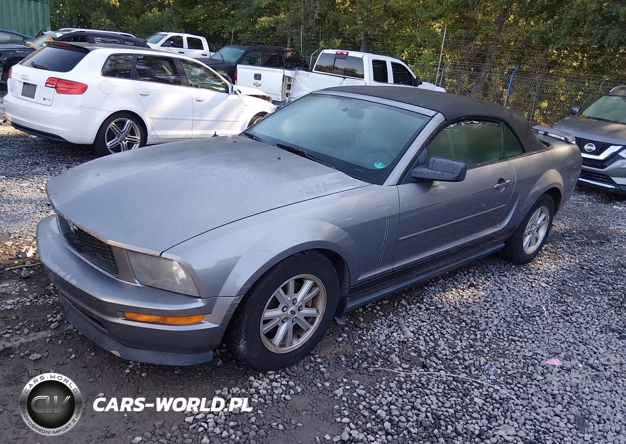 2006 Ford Mustang V6 VIN:1ZVFT84N965206576 - 2