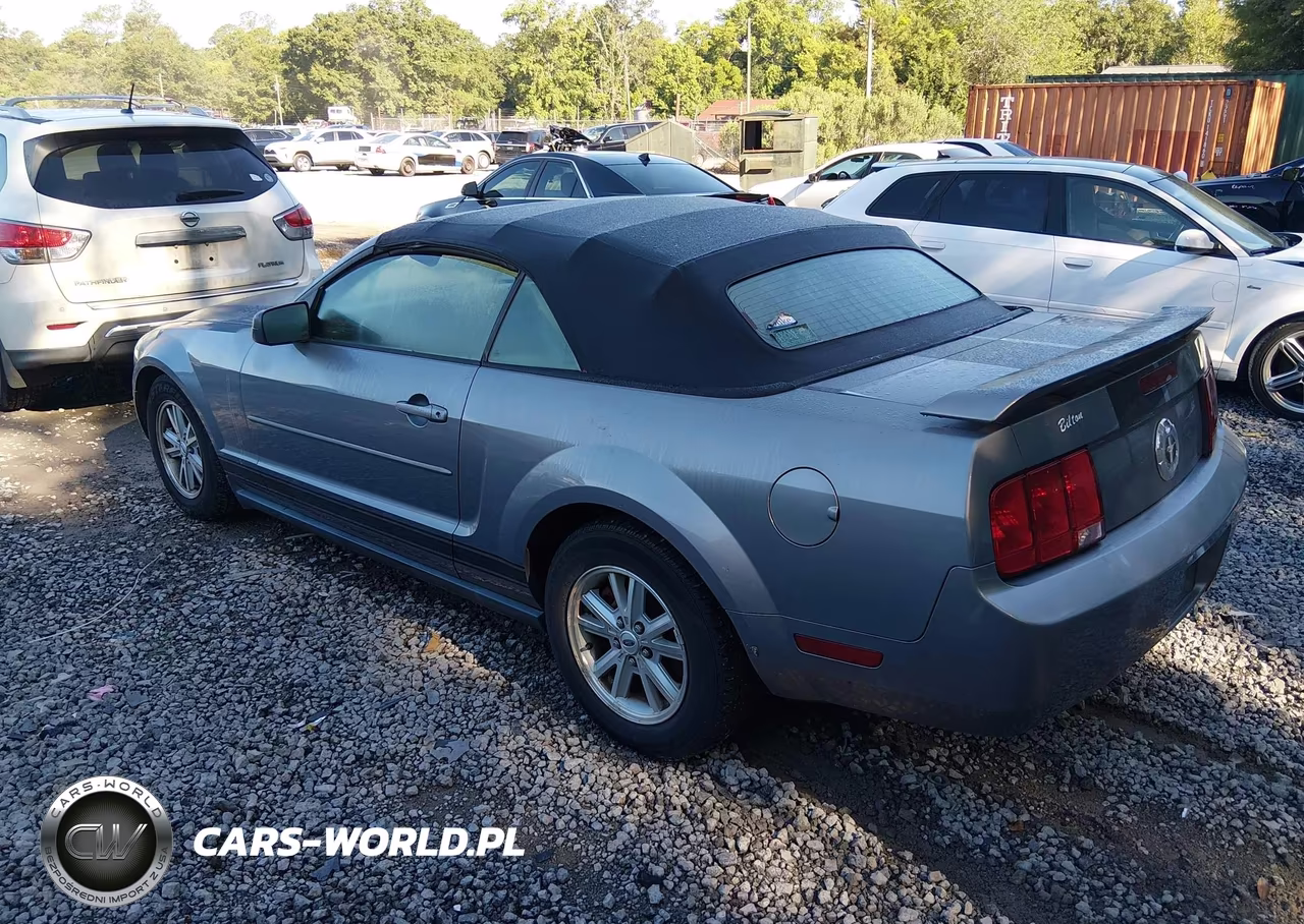 2006 Ford Mustang V6 VIN:1ZVFT84N965206576 - 3
