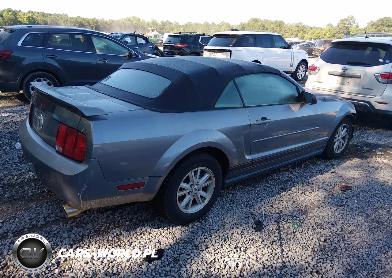 2006 Ford Mustang V6 VIN:1ZVFT84N965206576 - 4