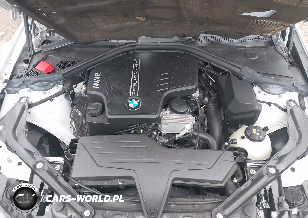 2016 BMW 228I VIN:WBA1K9C58GV710557 - 10