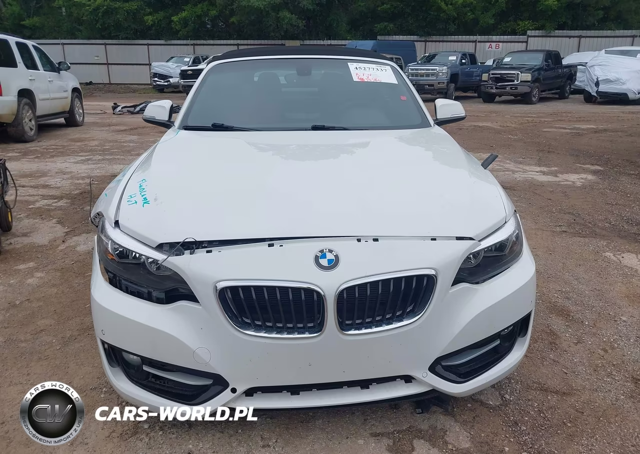 2016 BMW 228I VIN:WBA1K9C58GV710557 - 13