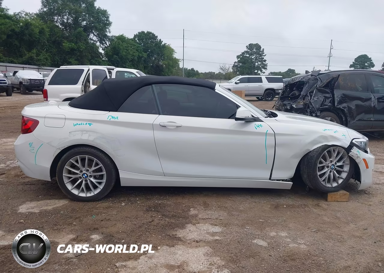 2016 BMW 228I VIN:WBA1K9C58GV710557 - 14