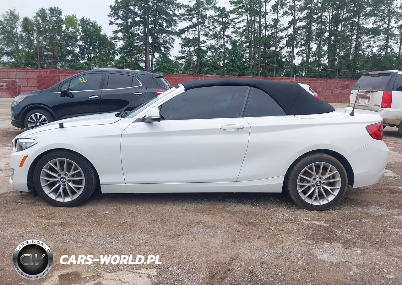 2016 BMW 228I VIN:WBA1K9C58GV710557 - 15