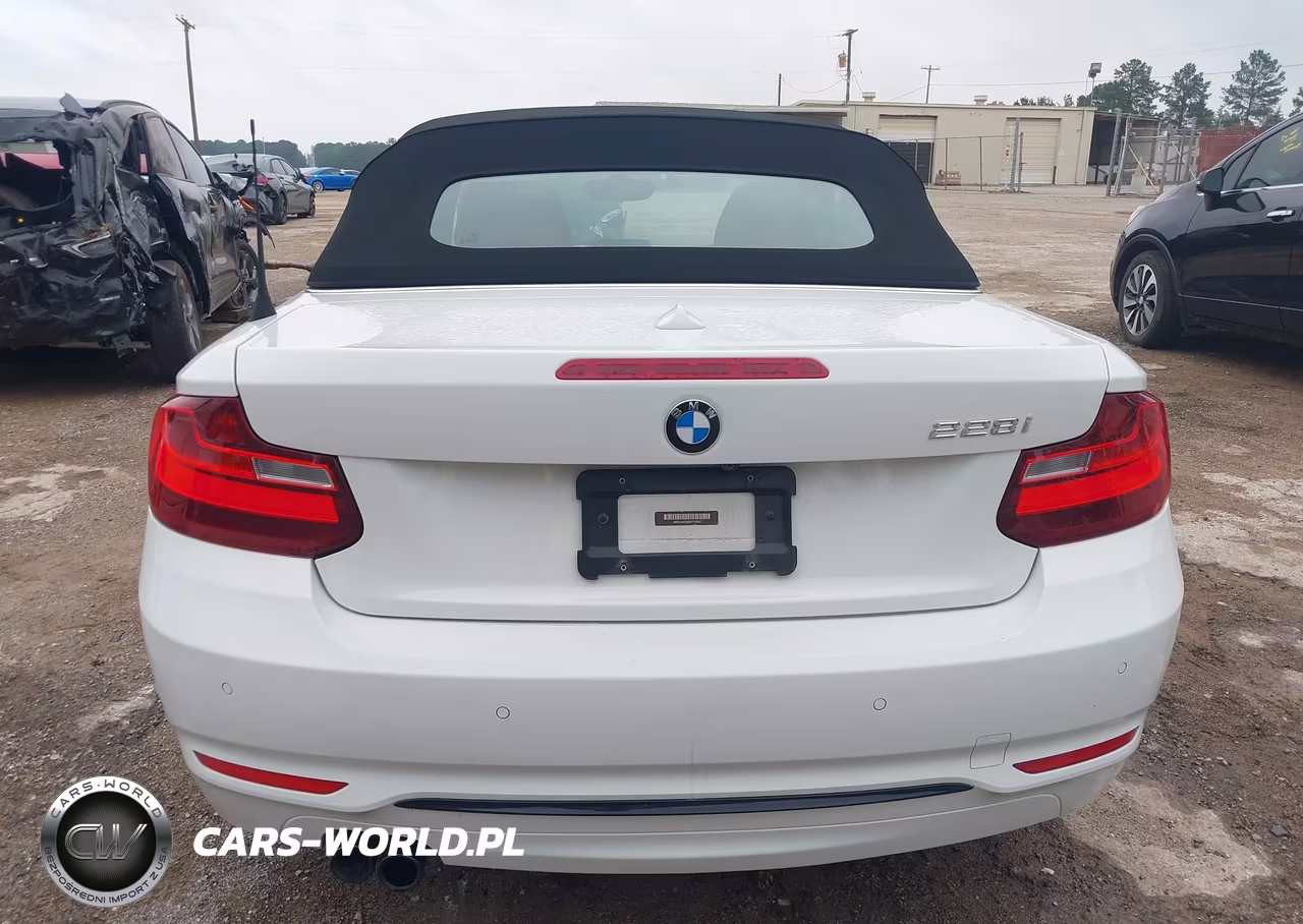 2016 BMW 228I VIN:WBA1K9C58GV710557 - 17