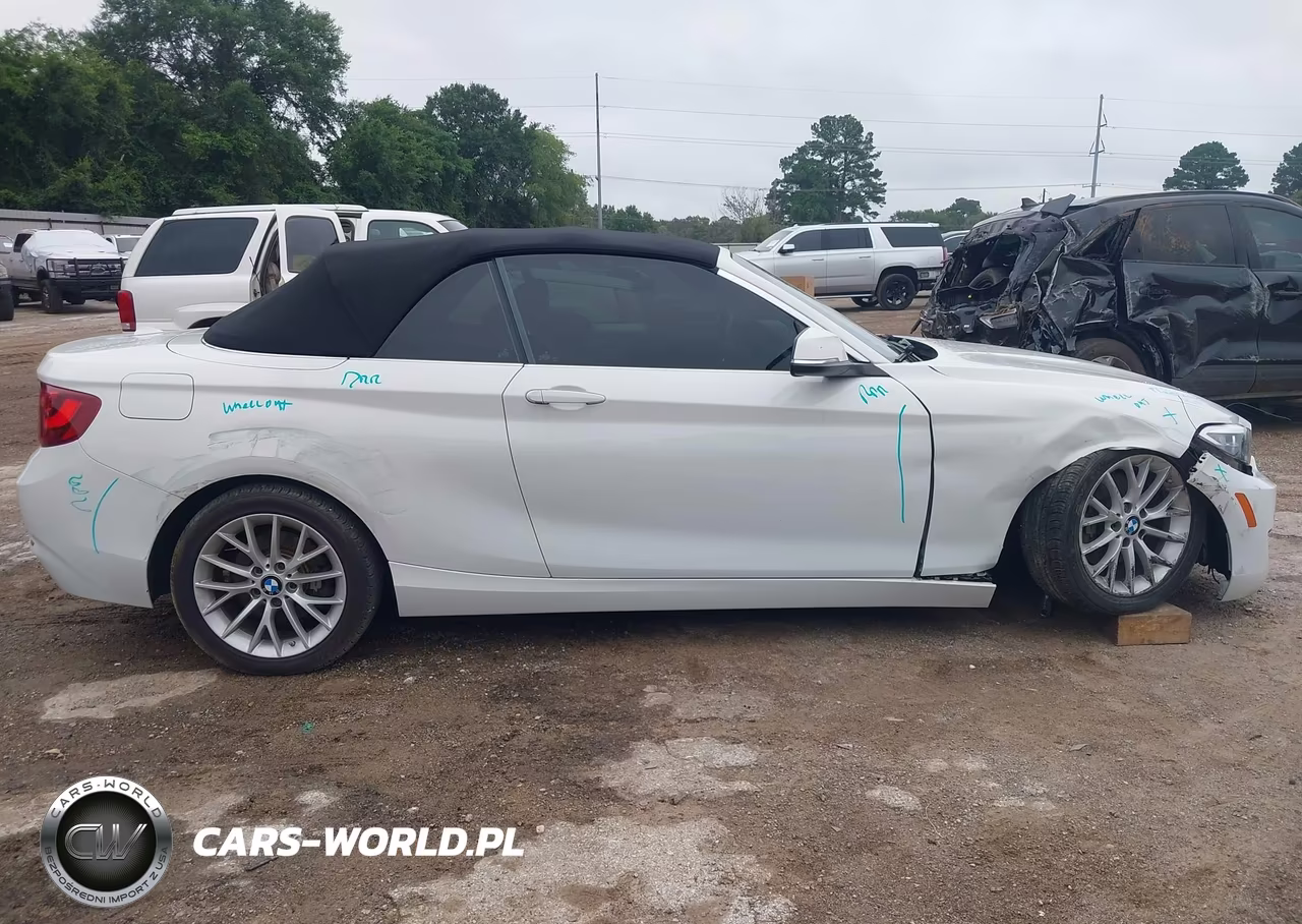 2016 BMW 228I VIN:WBA1K9C58GV710557 - 18