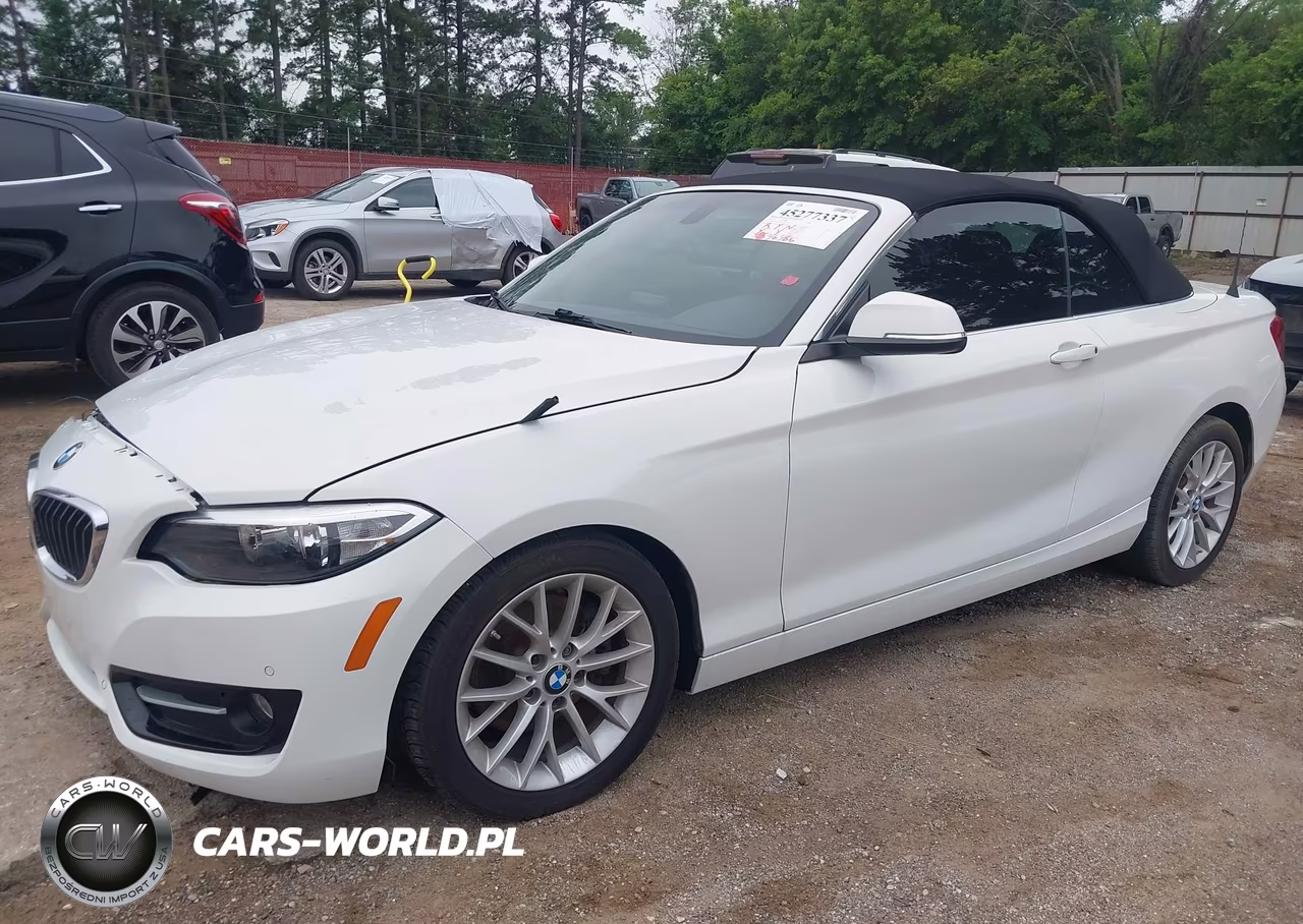 2016 BMW 228I VIN:WBA1K9C58GV710557 - 2