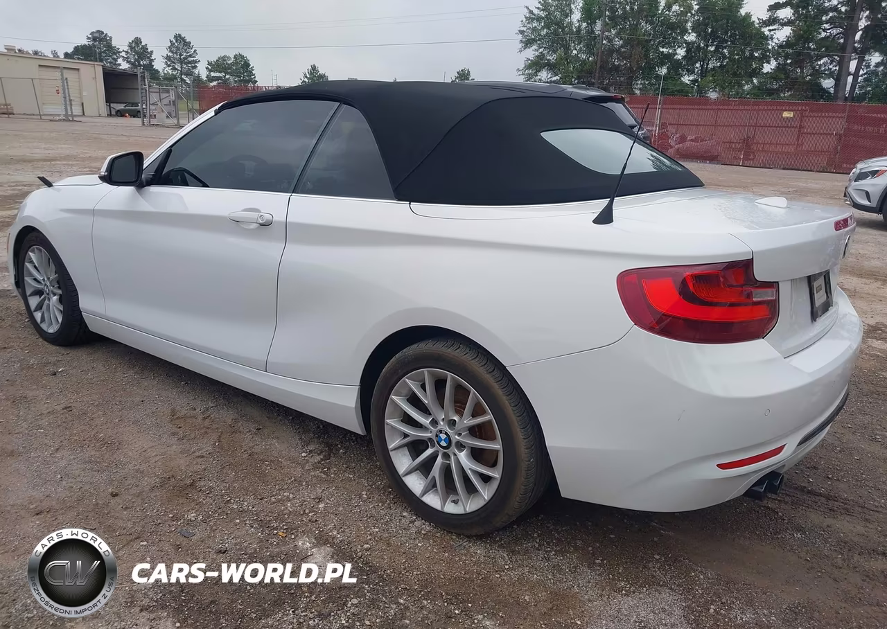 2016 BMW 228I VIN:WBA1K9C58GV710557 - 3