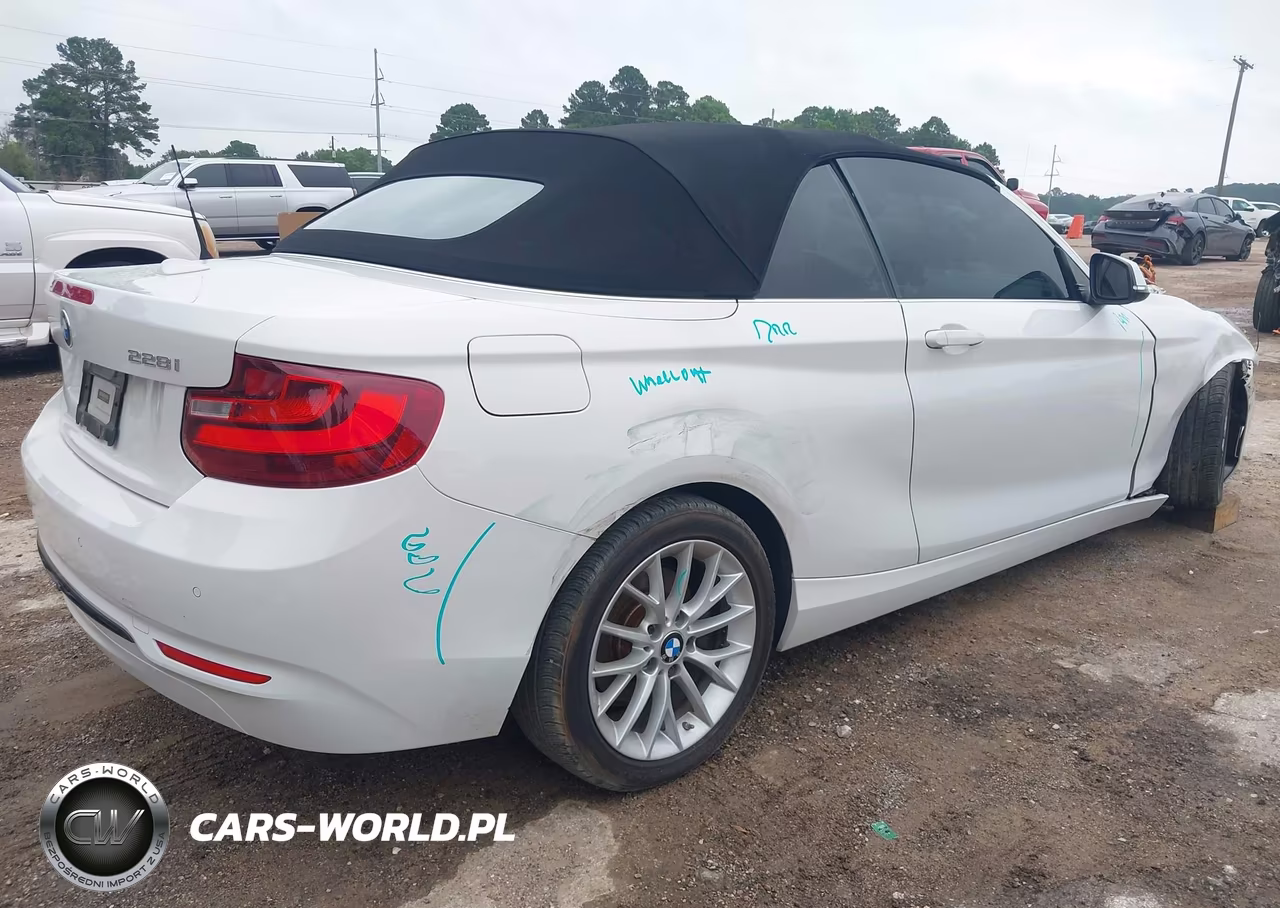 2016 BMW 228I VIN:WBA1K9C58GV710557 - 4