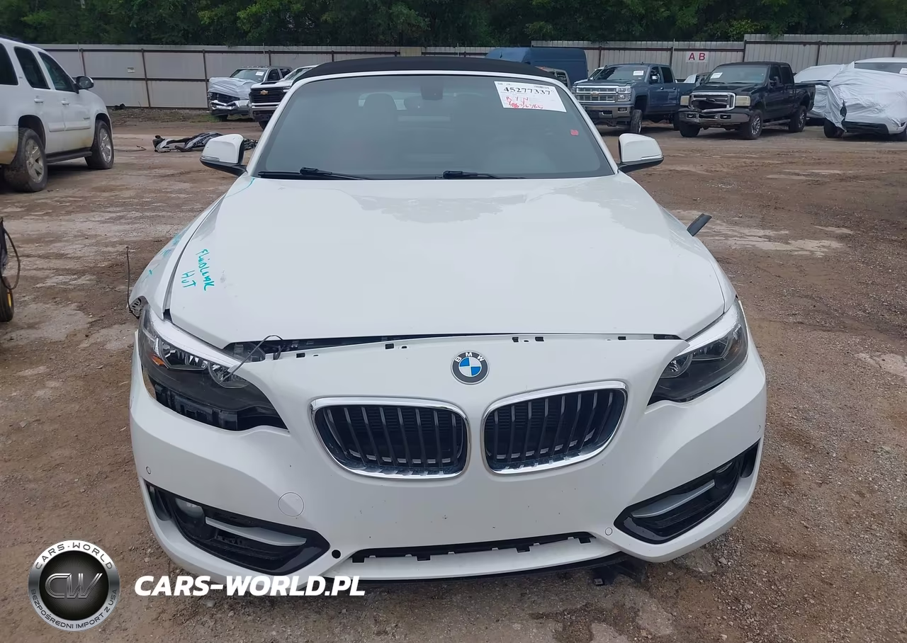 2016 BMW 228I VIN:WBA1K9C58GV710557 - 6