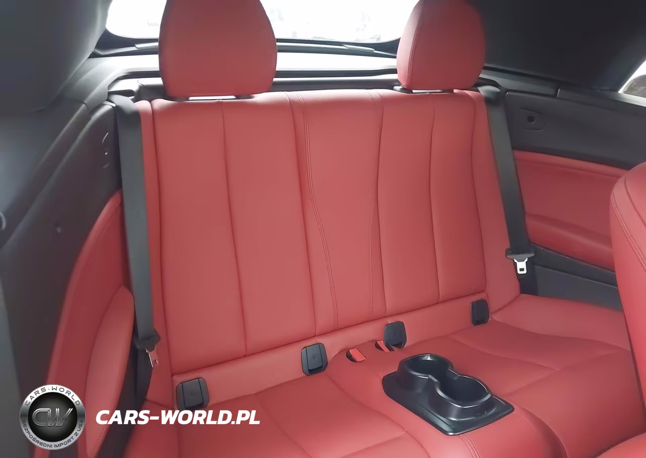 2016 BMW 228I VIN:WBA1K9C58GV710557 - 8