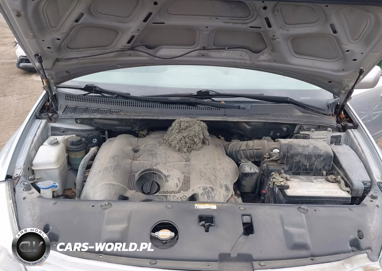 2010 Kia Sedona Ex VIN:KNDMH4C33A6337316 - 10