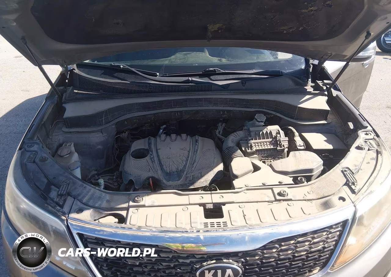 2015 Kia Sorento Lx VIN:5XYKT3A66FG602022 - 10