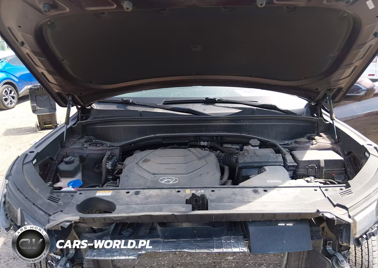 2024 Hyundai Palisade Limited VIN:KM8R5DGE4RU713468 - 10