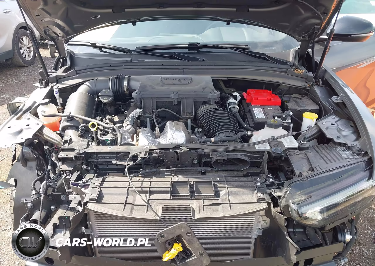 2024 Dodge Hornet Gt Awd VIN:ZACNDFAN0R3A34834 - 10