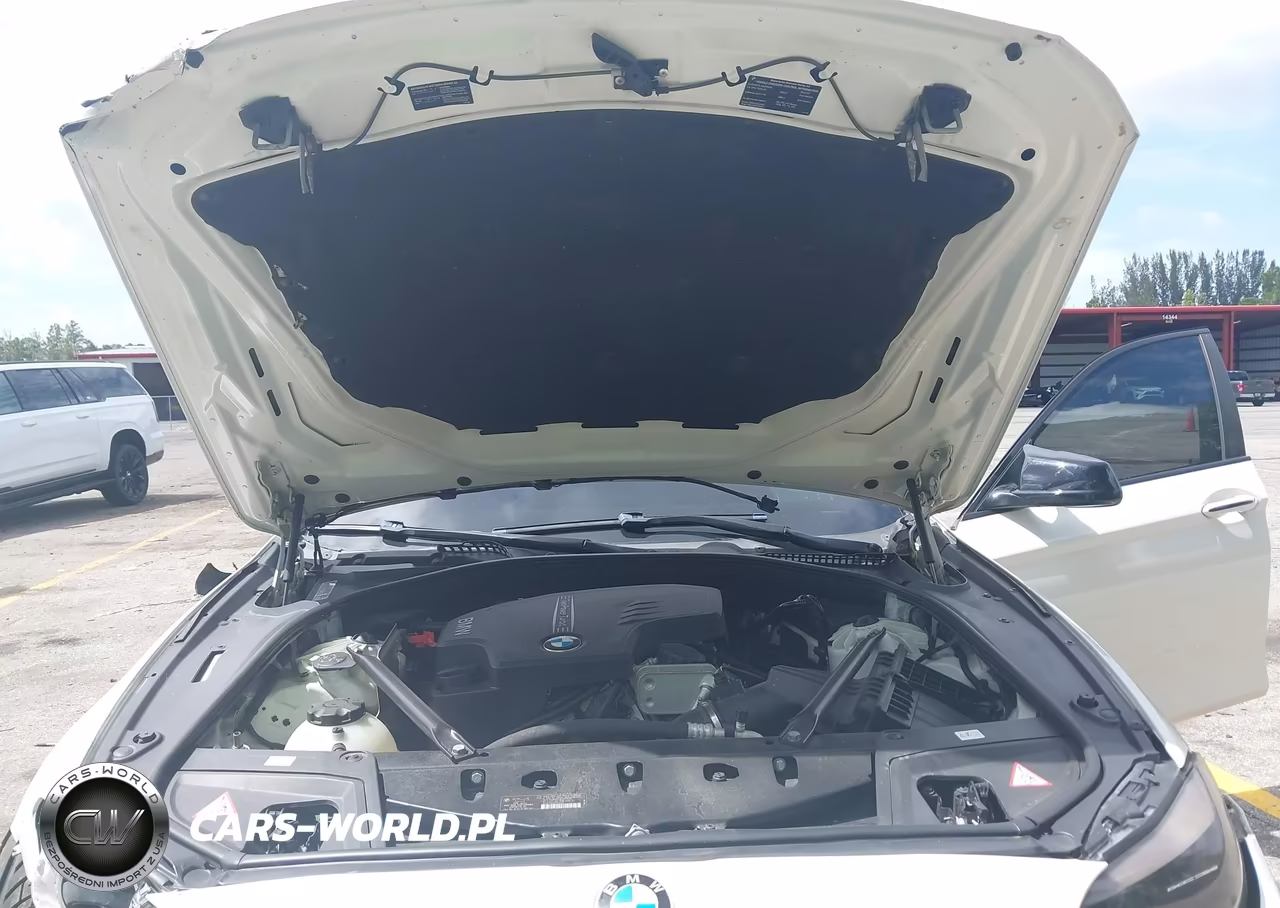2013 BMW 528I VIN:WBAXG5C54DDY34461 - 10