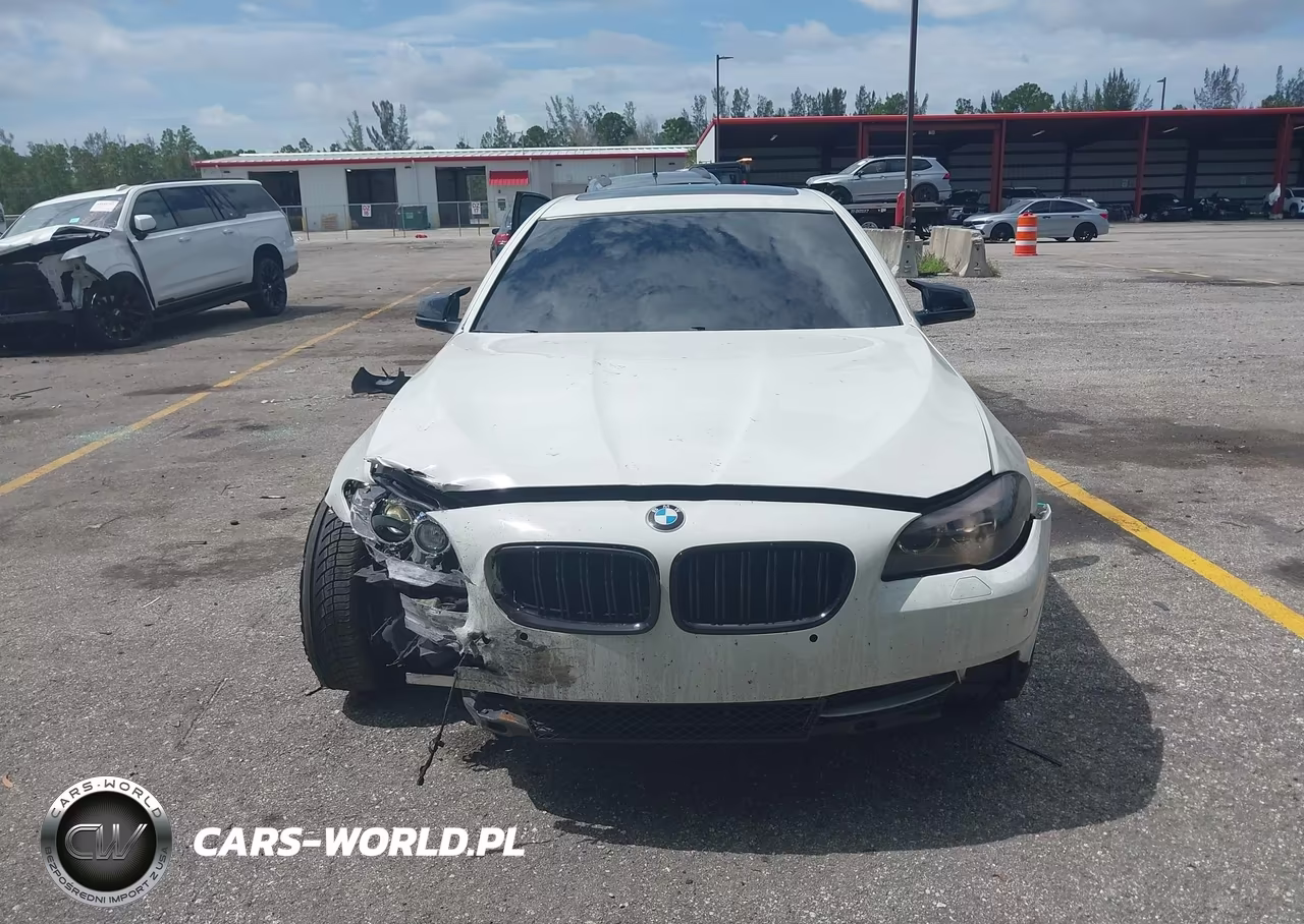 2013 BMW 528I VIN:WBAXG5C54DDY34461 - 12