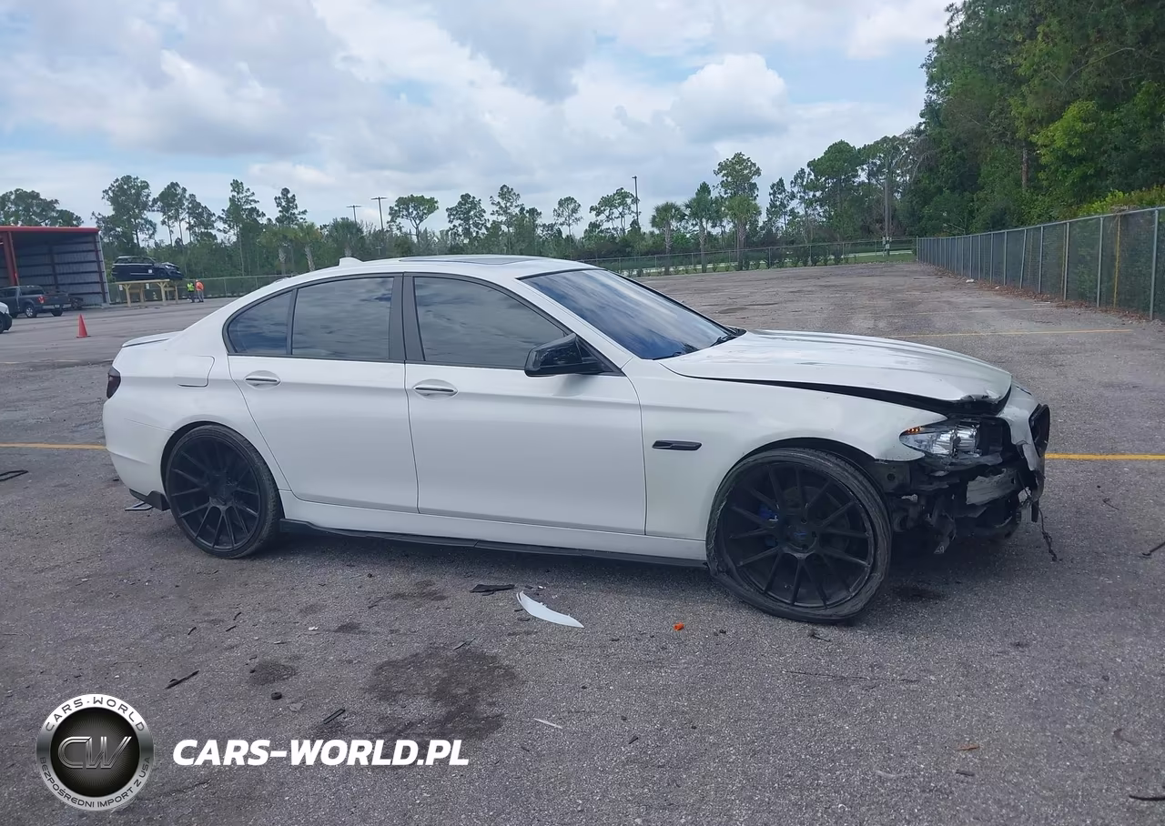 2013 BMW 528I VIN:WBAXG5C54DDY34461 - 13