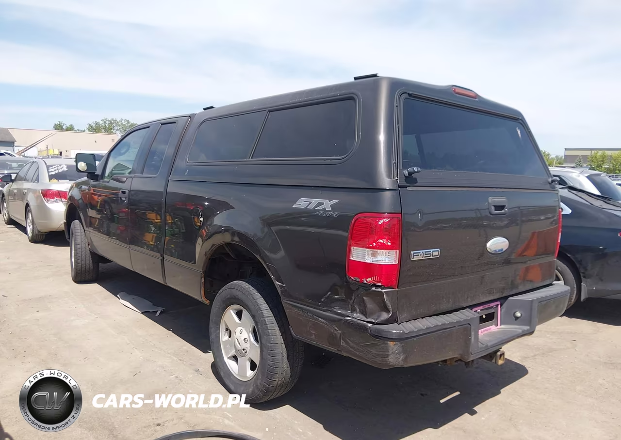 2006 Ford F-150 Stx-Xl-Xlt VIN:1FTRX14W16NA10622 - 3