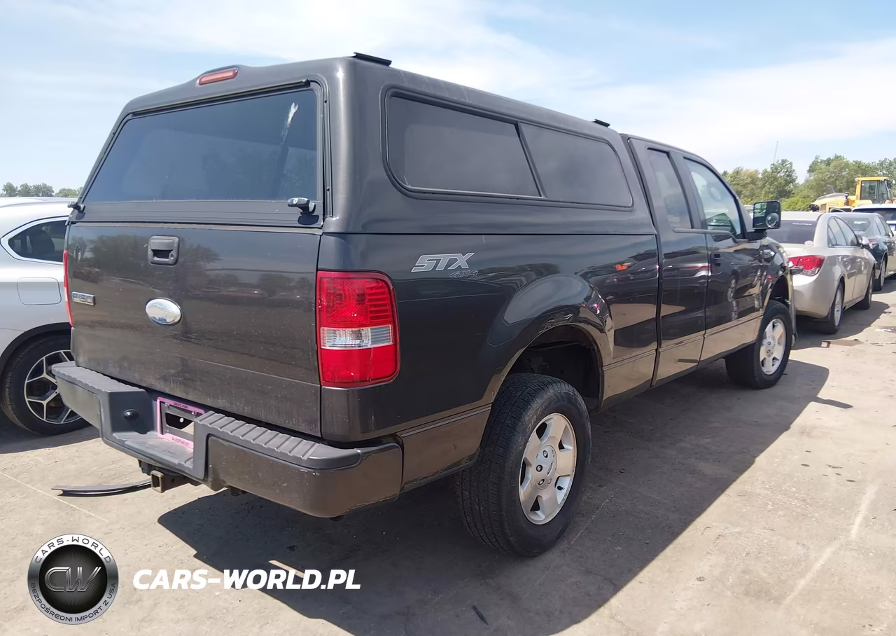 2006 Ford F-150 Stx-Xl-Xlt VIN:1FTRX14W16NA10622 - 4