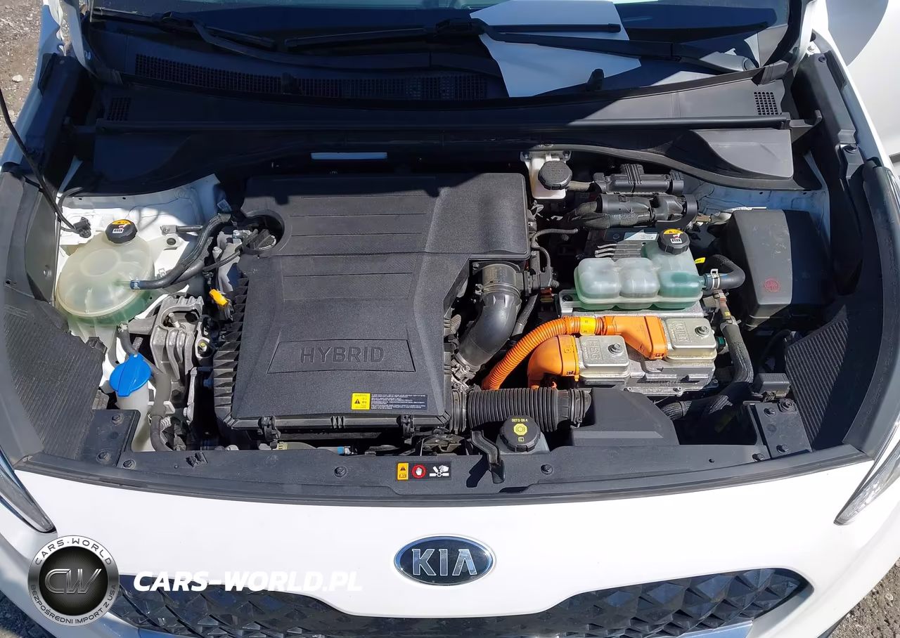 2020 Kia Niro Ex Premium VIN:KNDCE3LC3L5400017 - 10