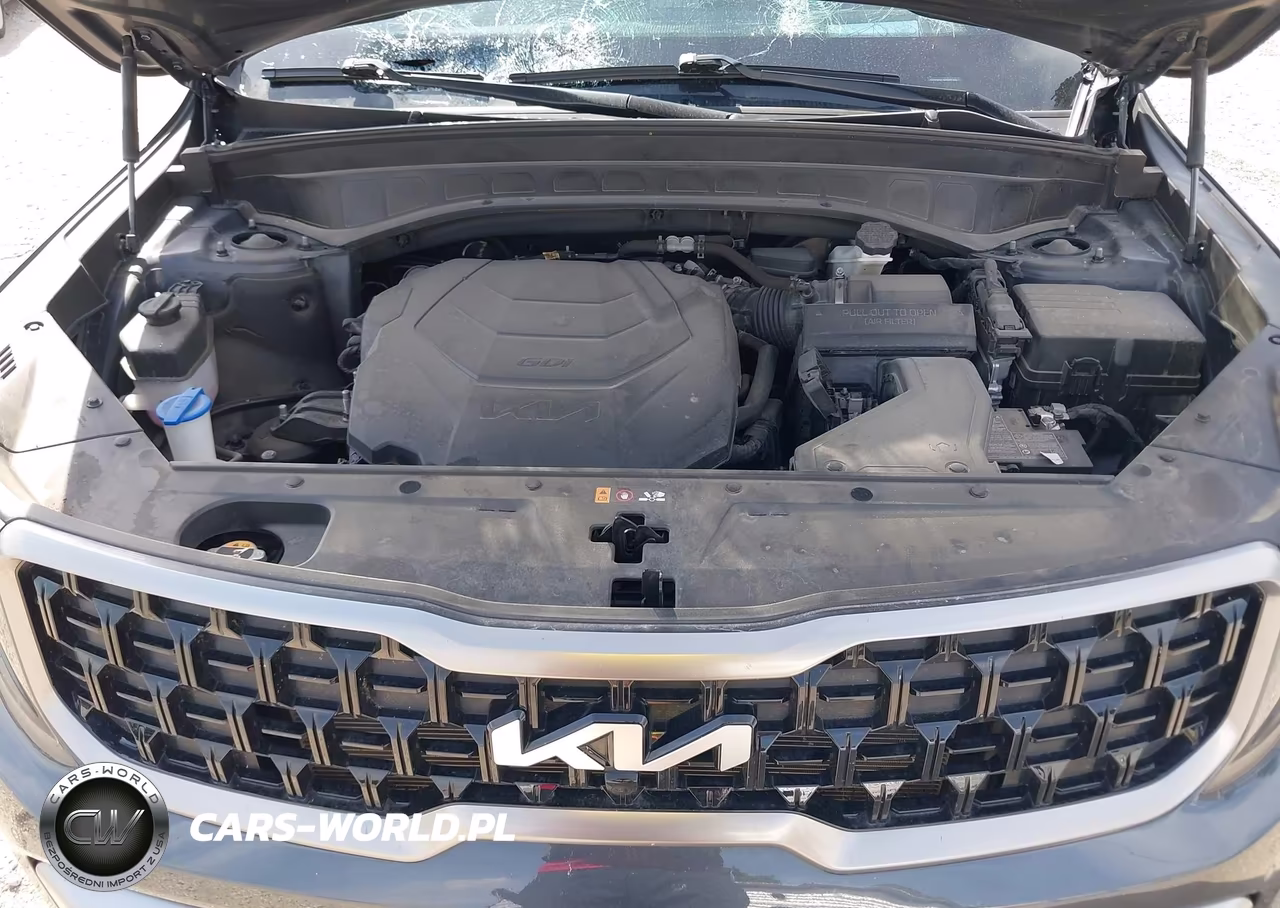2023 Kia Telluride Sx Prestige X-Line VIN:5XYP5DGCXPG397180 - 10