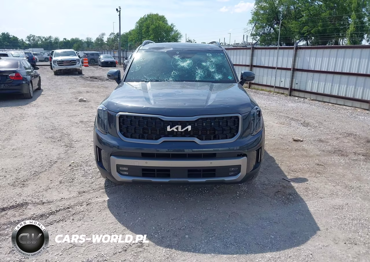 2023 Kia Telluride Sx Prestige X-Line VIN:5XYP5DGCXPG397180 - 12