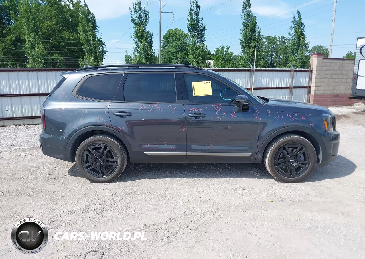 2023 Kia Telluride Sx Prestige X-Line VIN:5XYP5DGCXPG397180 - 13