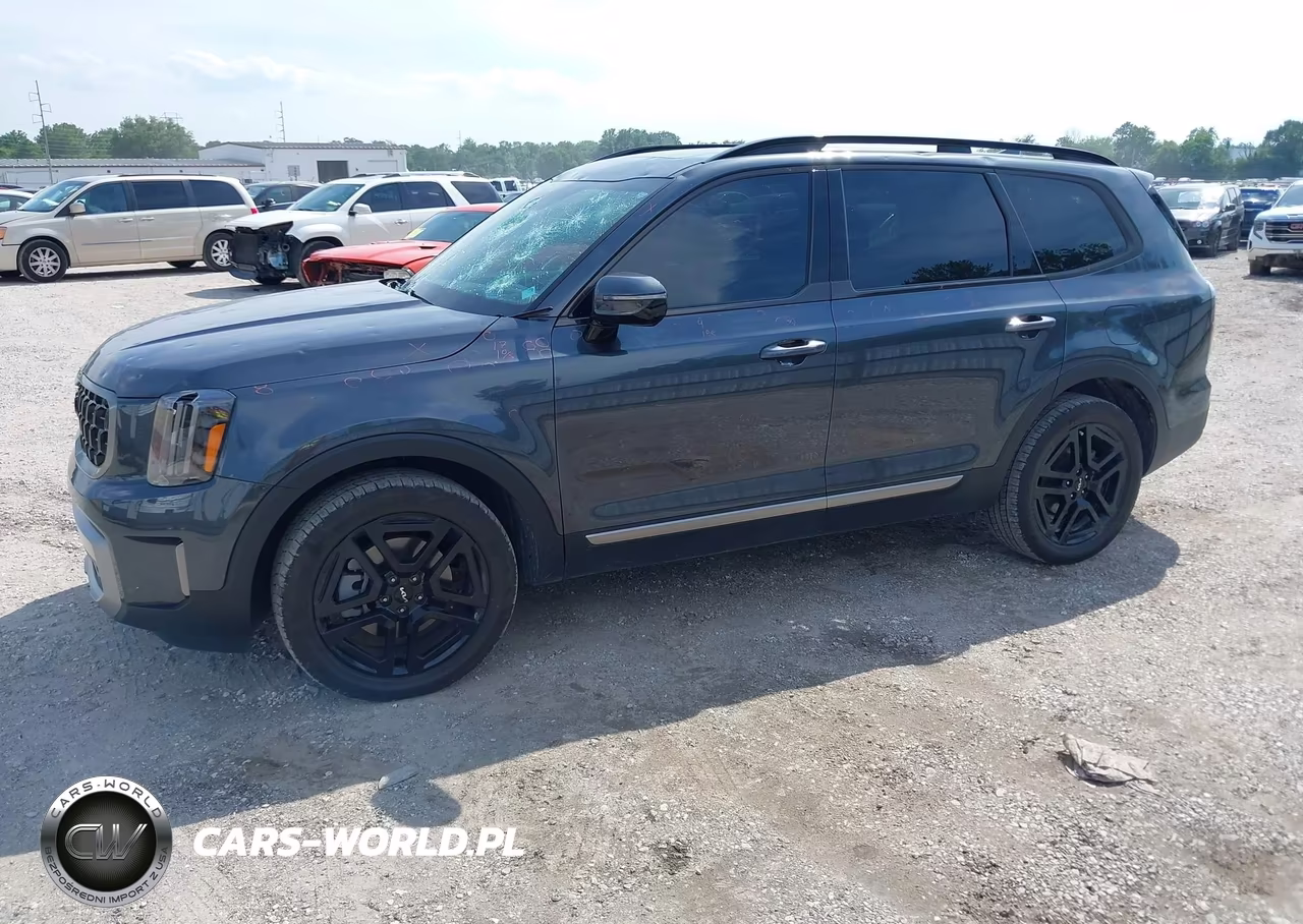 2023 Kia Telluride Sx Prestige X-Line VIN:5XYP5DGCXPG397180 - 2