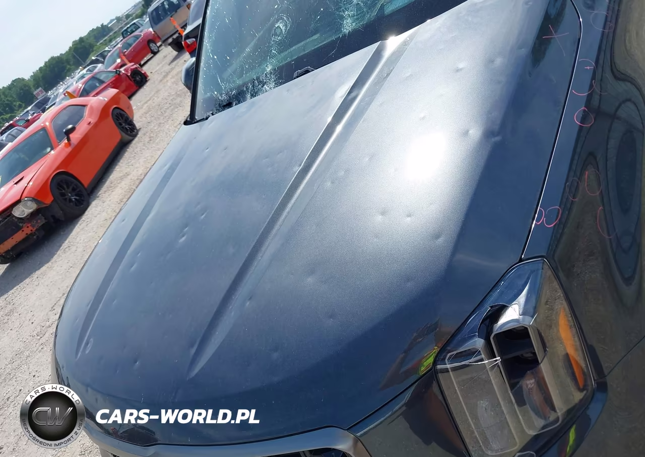 2023 Kia Telluride Sx Prestige X-Line VIN:5XYP5DGCXPG397180 - 6
