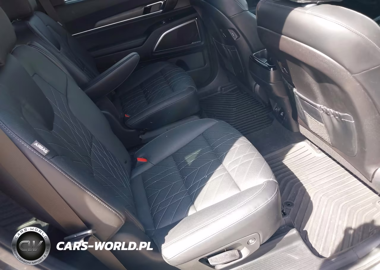 2023 Kia Telluride Sx Prestige X-Line VIN:5XYP5DGCXPG397180 - 8