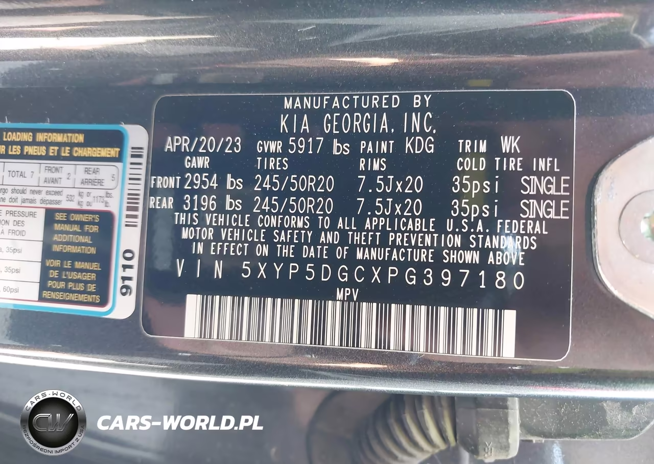 2023 Kia Telluride Sx Prestige X-Line VIN:5XYP5DGCXPG397180 - 9