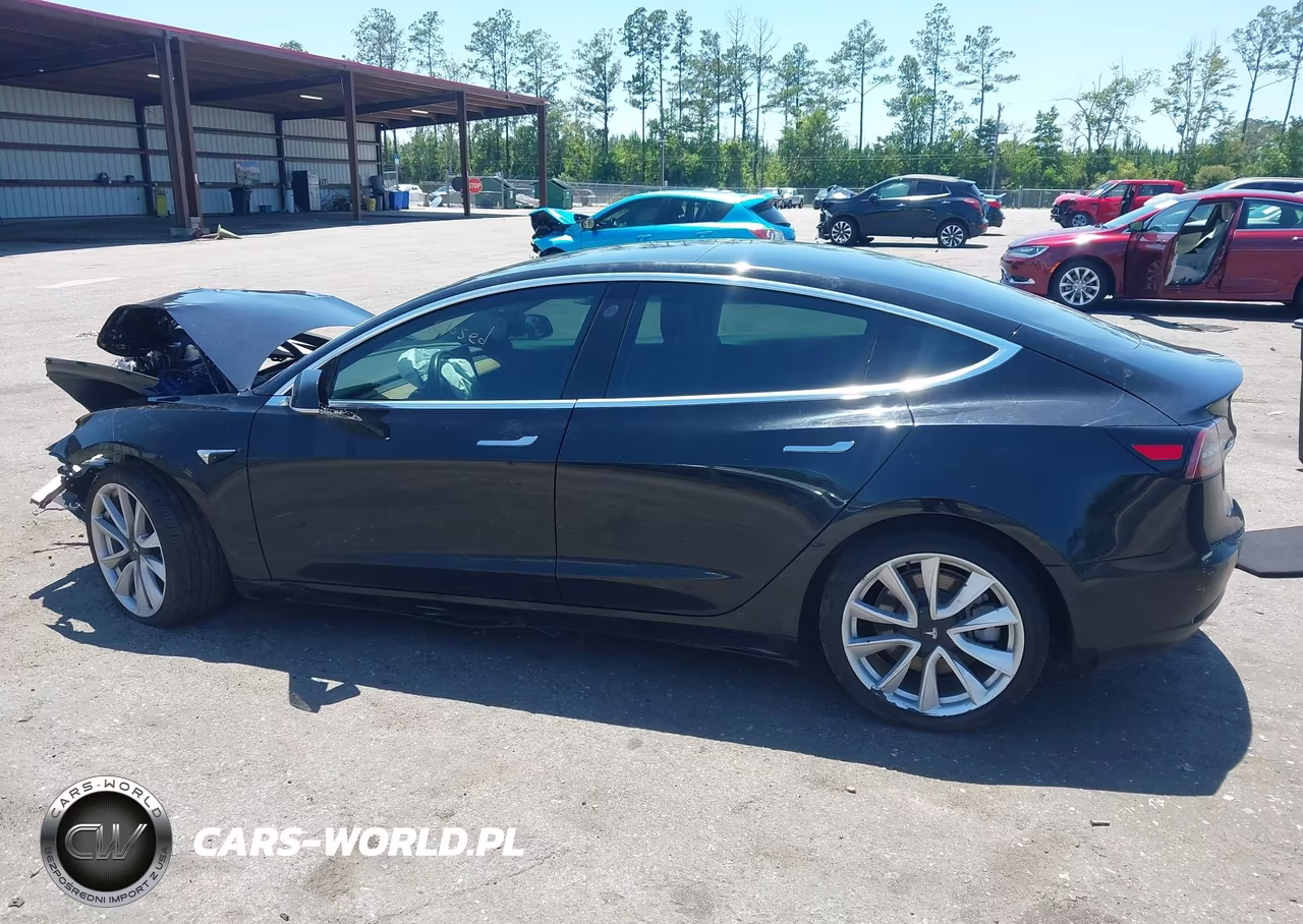 2019 Tesla Model 3 Long Range-Mid Range-Standard Range-Standard Range Plus VIN:5YJ3E1EA5KF401778 - 12