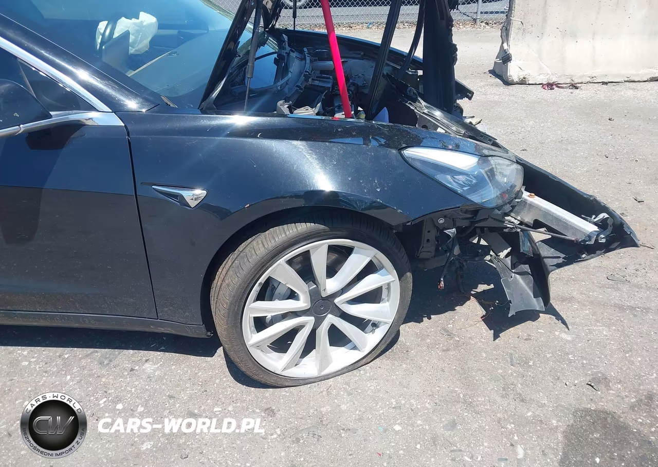 2019 Tesla Model 3 Long Range-Mid Range-Standard Range-Standard Range Plus VIN:5YJ3E1EA5KF401778 - 6