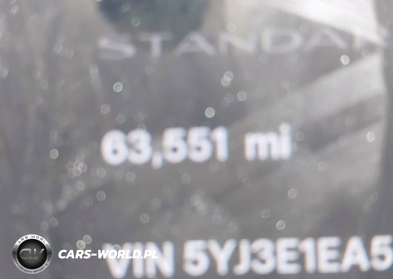2019 Tesla Model 3 Long Range-Mid Range-Standard Range-Standard Range Plus VIN:5YJ3E1EA5KF401778 - 7