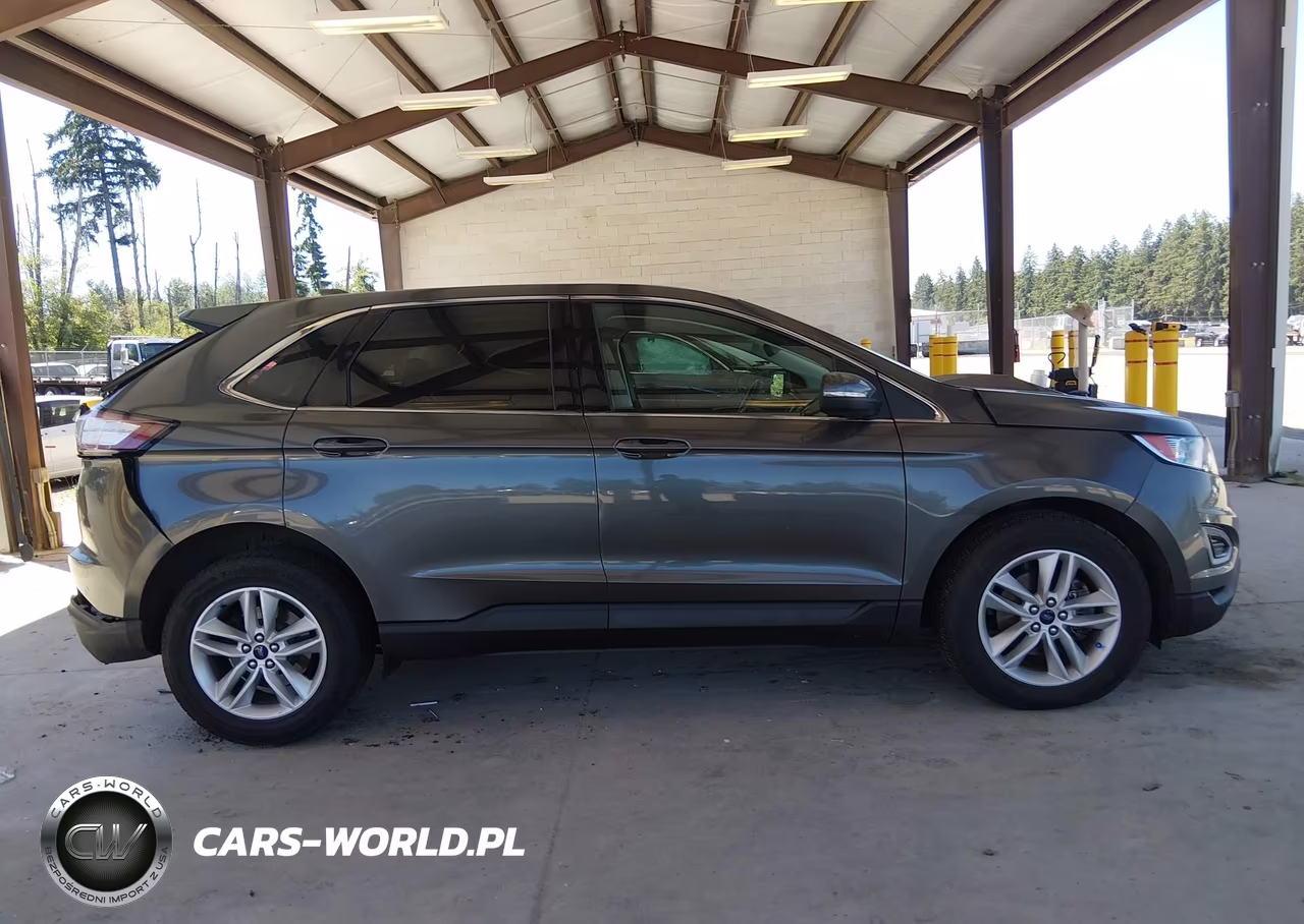 2016 Ford Edge Sel VIN:2FMPK3J99GBB99917 - 12