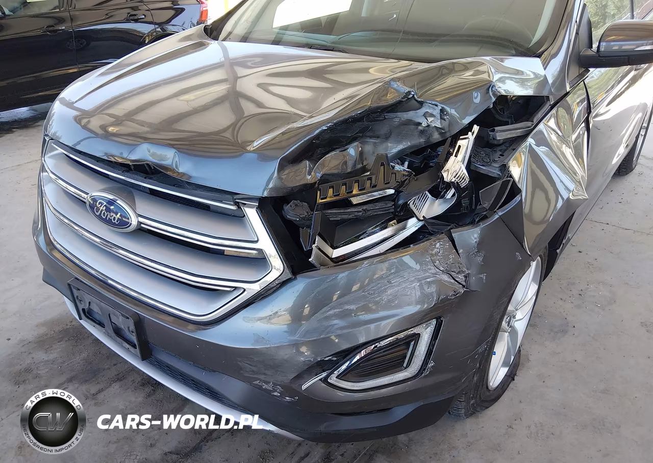 2016 Ford Edge Sel VIN:2FMPK3J99GBB99917 - 6