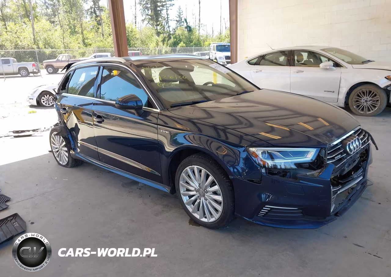 2018 Audi A3 E-Tron 1.4T Premium-1.4T Tech Premium