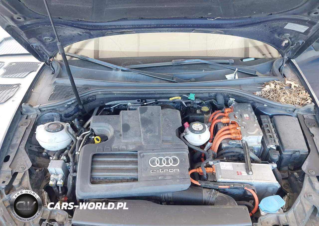 2018 Audi A3 E-Tron 1.4T Premium-1.4T Tech Premium VIN:WAUTPBFF0JA062636 - 10