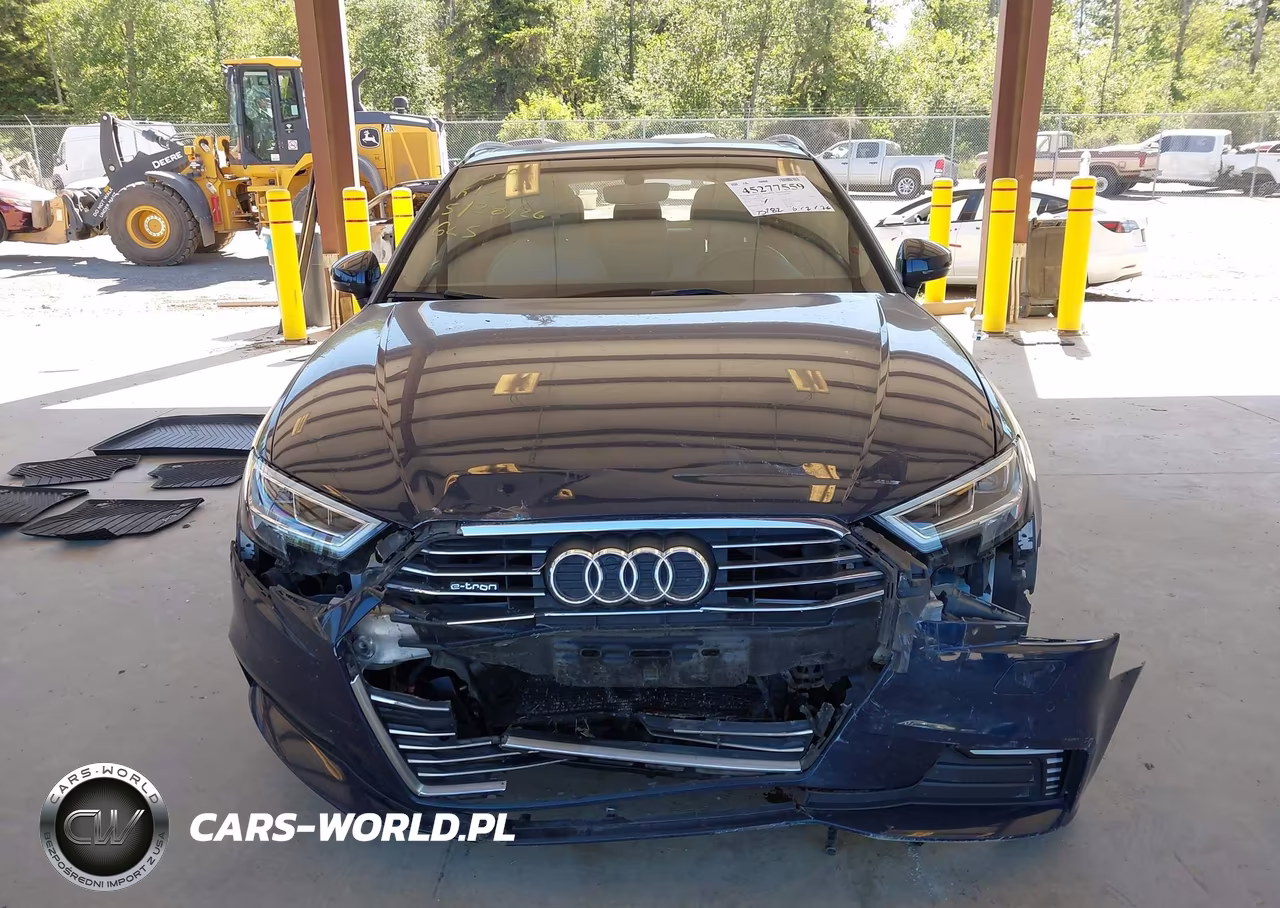 2018 Audi A3 E-Tron 1.4T Premium-1.4T Tech Premium VIN:WAUTPBFF0JA062636 - 13