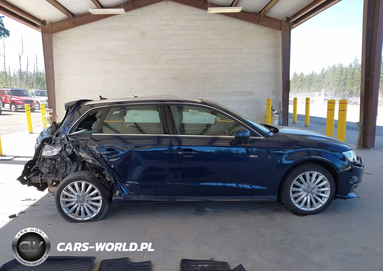 2018 Audi A3 E-Tron 1.4T Premium-1.4T Tech Premium VIN:WAUTPBFF0JA062636 - 14
