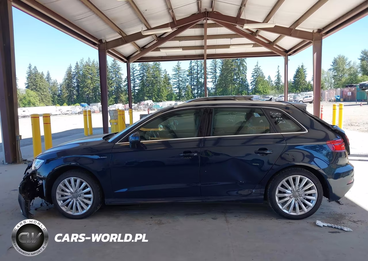 2018 Audi A3 E-Tron 1.4T Premium-1.4T Tech Premium VIN:WAUTPBFF0JA062636 - 15