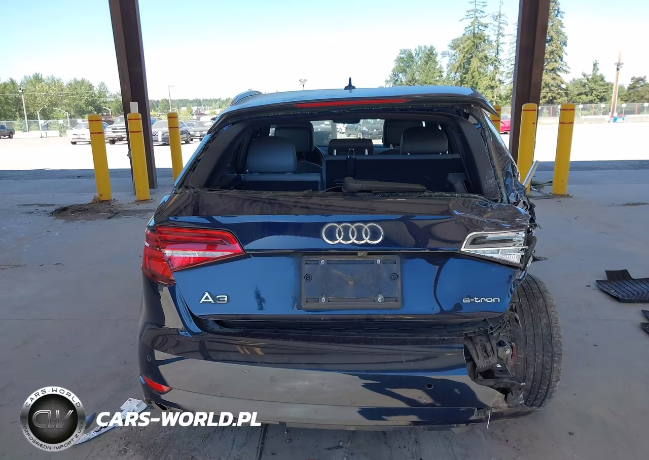2018 Audi A3 E-Tron 1.4T Premium-1.4T Tech Premium VIN:WAUTPBFF0JA062636 - 17