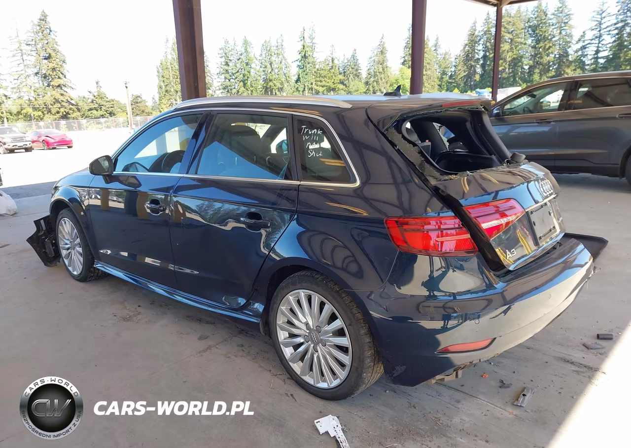 2018 Audi A3 E-Tron 1.4T Premium-1.4T Tech Premium VIN:WAUTPBFF0JA062636 - 3